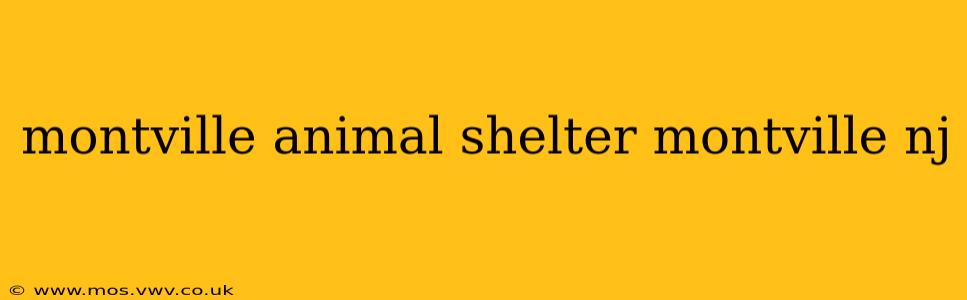 montville animal shelter montville nj