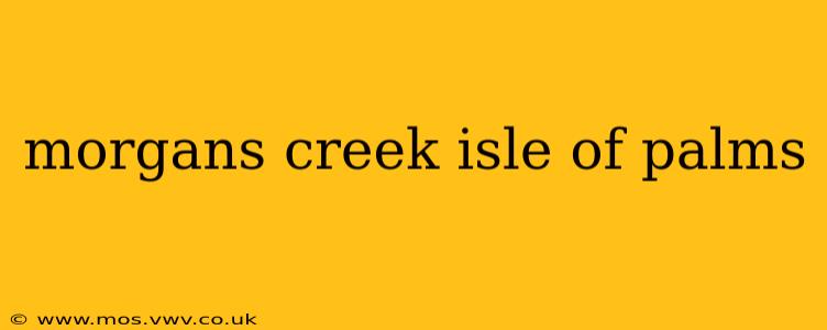morgans creek isle of palms