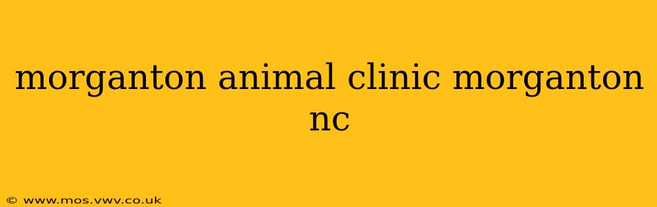 morganton animal clinic morganton nc