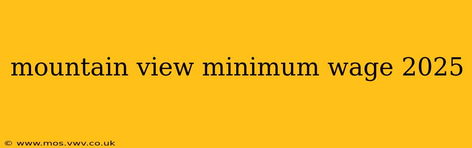 mountain view minimum wage 2025