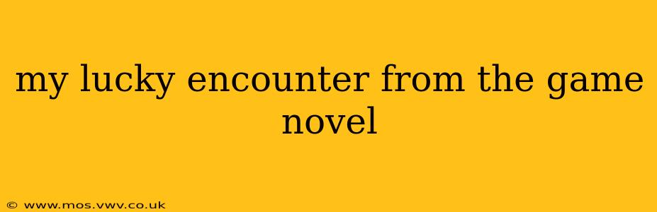 my lucky encounter from the game novel