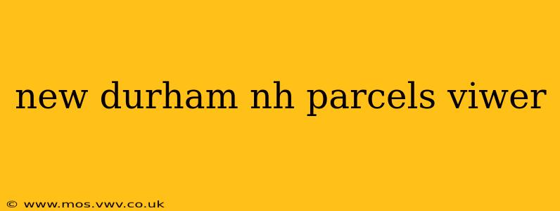 new durham nh parcels viwer
