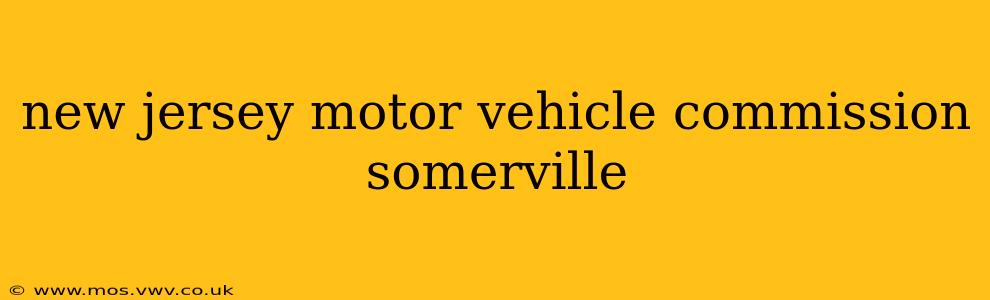 new jersey motor vehicle commission somerville