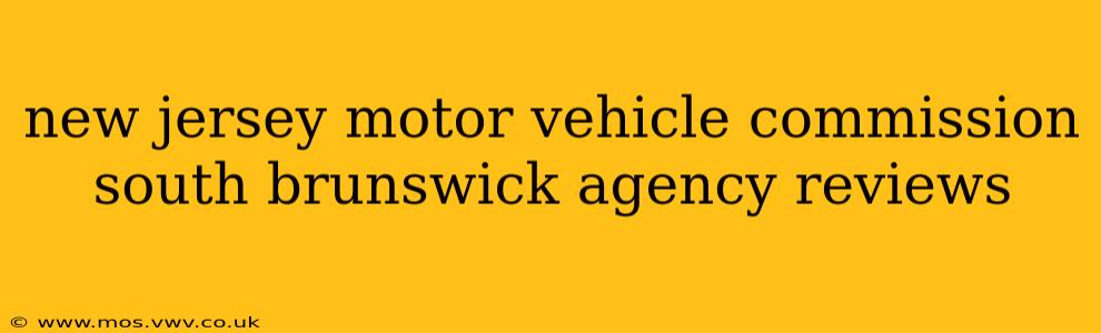 new jersey motor vehicle commission south brunswick agency reviews