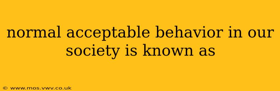 normal acceptable behavior in our society is known as