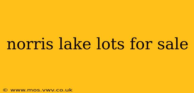 norris lake lots for sale
