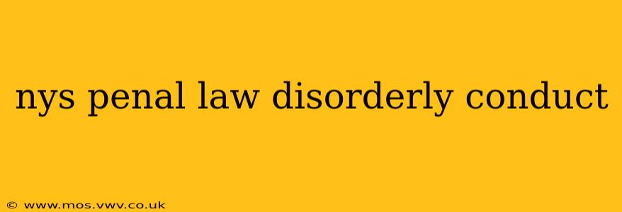 nys penal law disorderly conduct