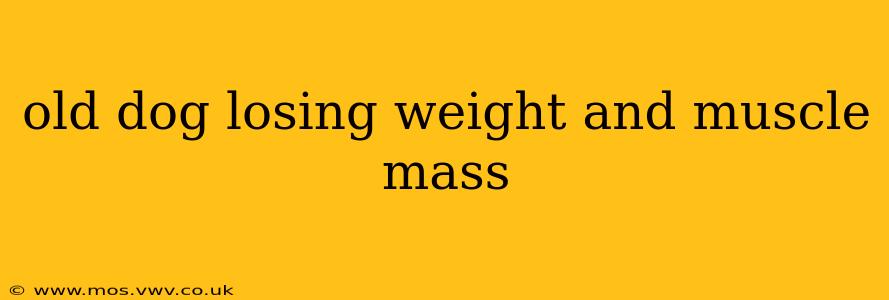 old dog losing weight and muscle mass