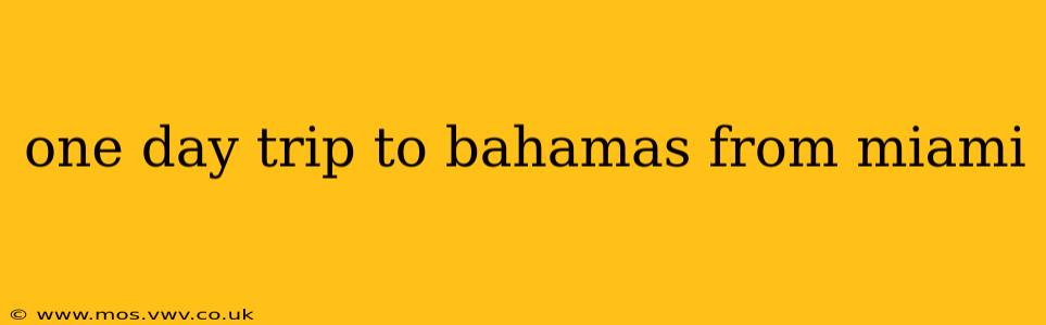 one day trip to bahamas from miami
