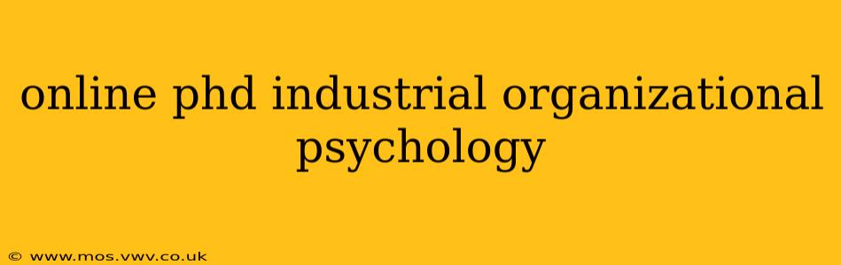 online phd industrial organizational psychology