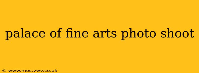 palace of fine arts photo shoot