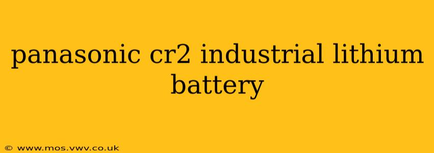 panasonic cr2 industrial lithium battery