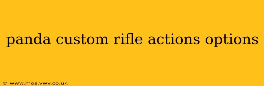 panda custom rifle actions options
