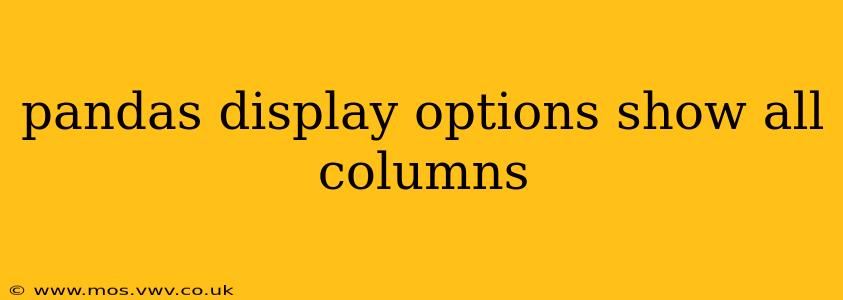 pandas display options show all columns