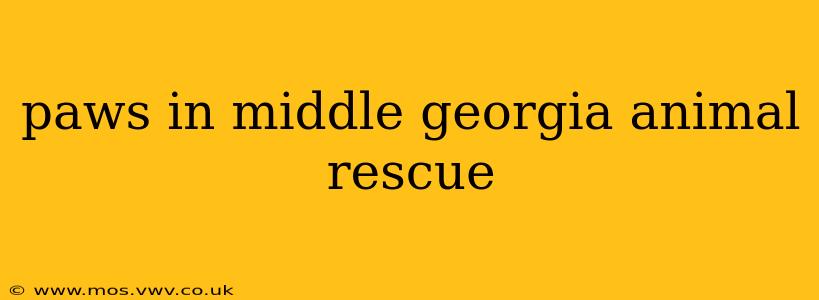 paws in middle georgia animal rescue