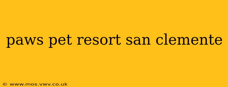 paws pet resort san clemente