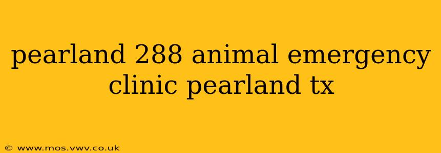 pearland 288 animal emergency clinic pearland tx