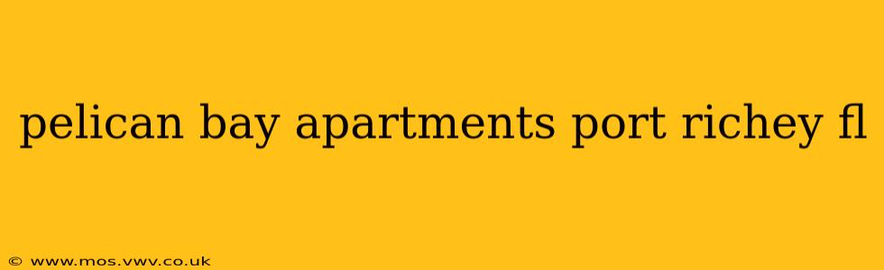 pelican bay apartments port richey fl