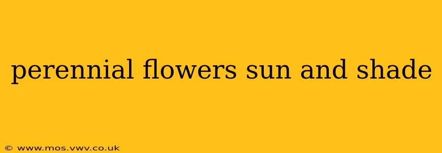perennial flowers sun and shade