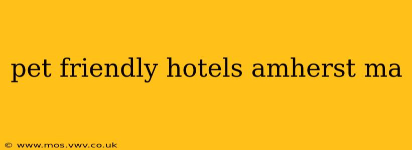 pet friendly hotels amherst ma