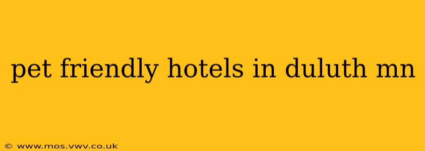 pet friendly hotels in duluth mn