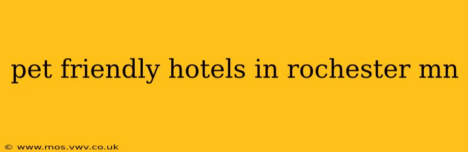 pet friendly hotels in rochester mn