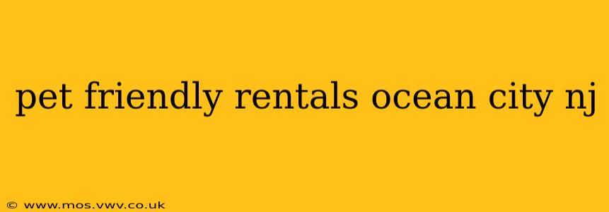 pet friendly rentals ocean city nj