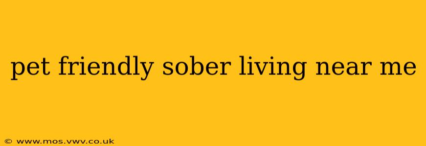 pet friendly sober living near me