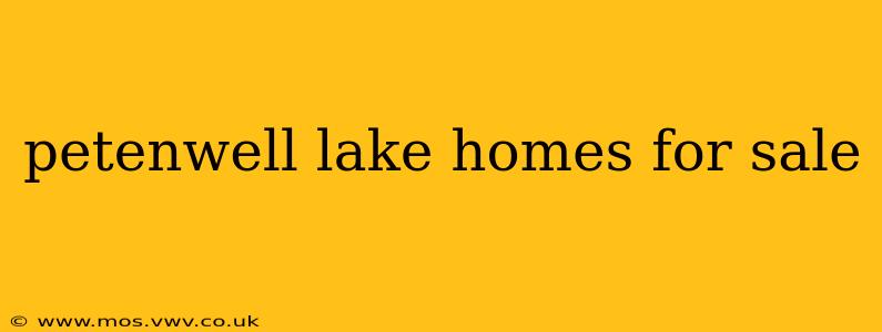 petenwell lake homes for sale