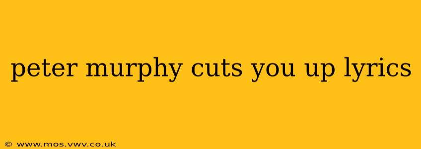 peter murphy cuts you up lyrics