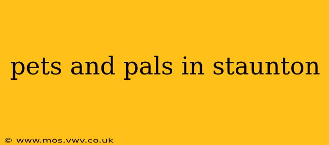 pets and pals in staunton