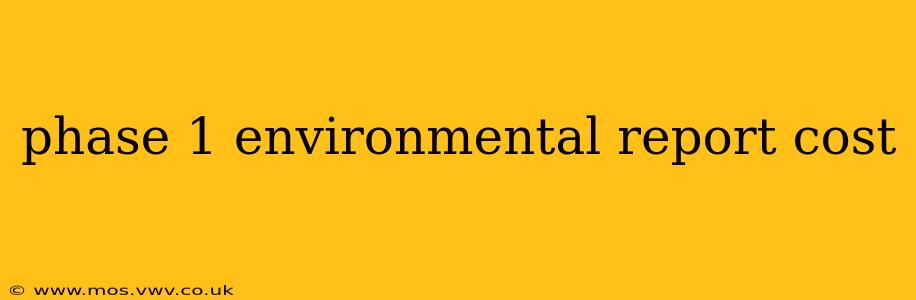 phase 1 environmental report cost