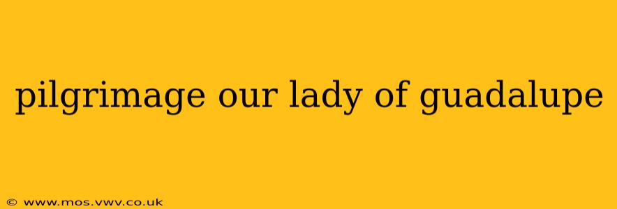 pilgrimage our lady of guadalupe