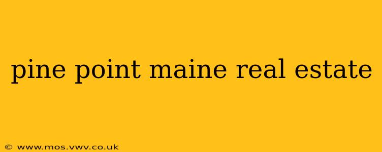 pine point maine real estate