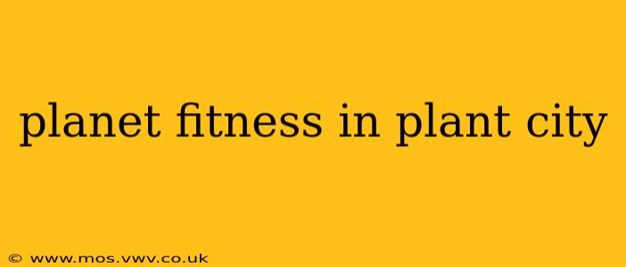 planet fitness in plant city
