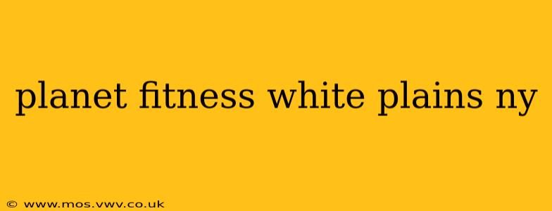 planet fitness white plains ny