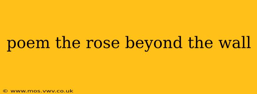 poem the rose beyond the wall