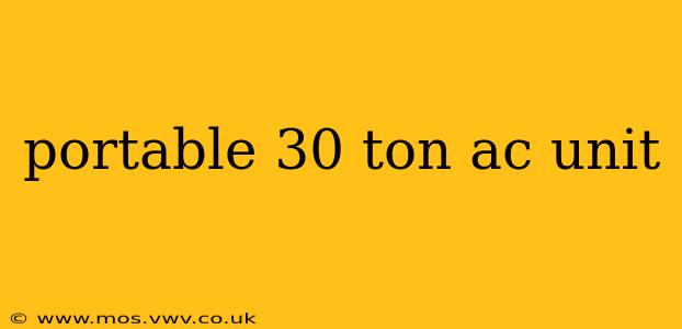 portable 30 ton ac unit
