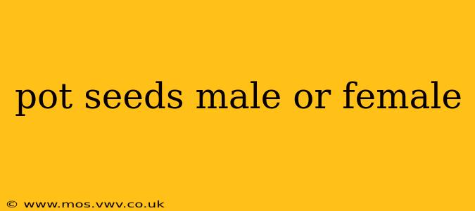 pot seeds male or female