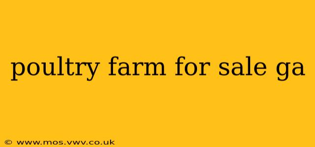 poultry farm for sale ga