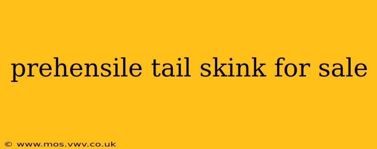 prehensile tail skink for sale