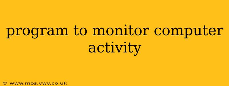 program to monitor computer activity