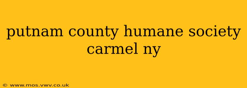 putnam county humane society carmel ny