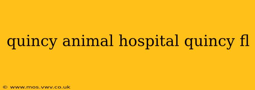 quincy animal hospital quincy fl
