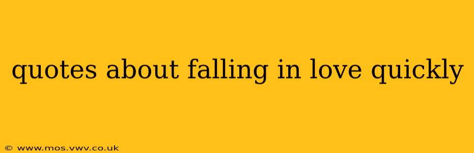 quotes about falling in love quickly