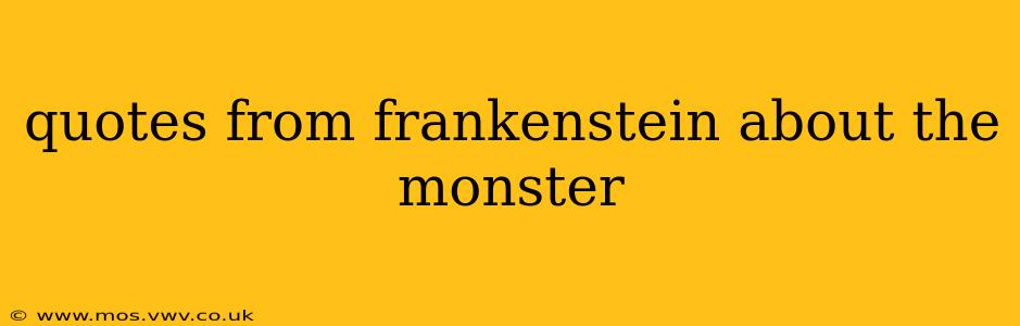 quotes from frankenstein about the monster