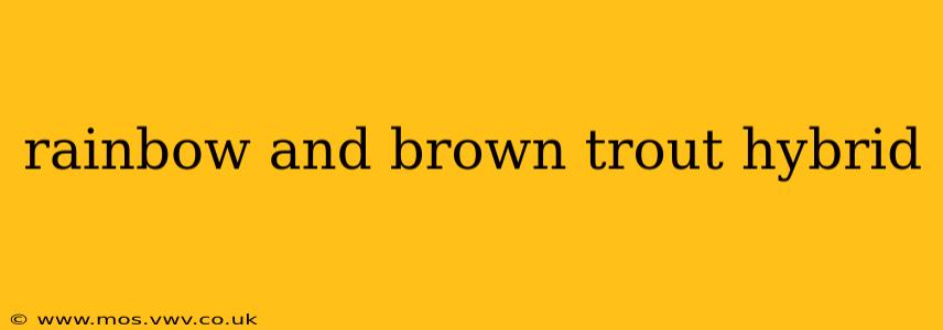 rainbow and brown trout hybrid
