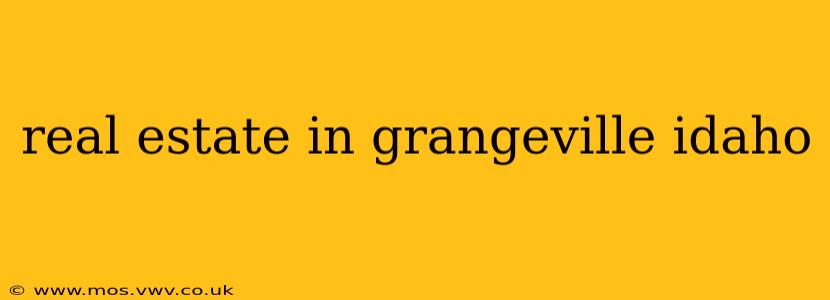 real estate in grangeville idaho