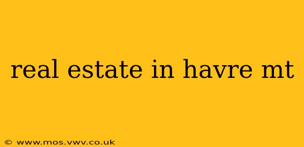 real estate in havre mt