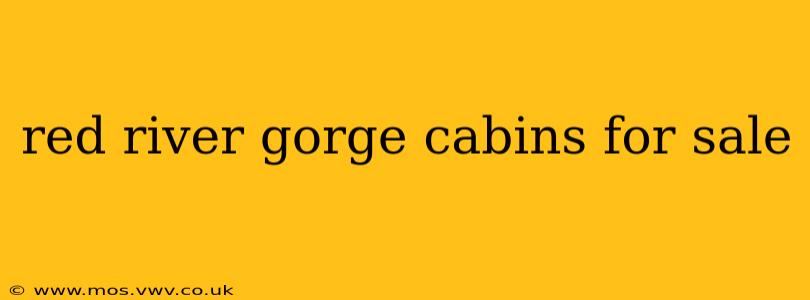 red river gorge cabins for sale